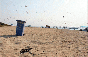جزيرة كبر