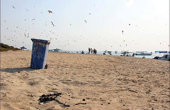 المطيري: ما يحدث في جزيرة كبر يستدعي غضب الرب